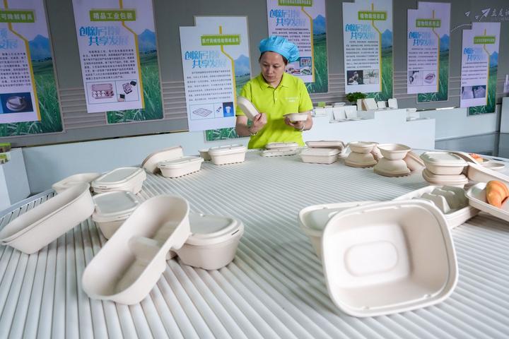 镜观回响2025 以生态环境材料为引擎，坚定不移走生态优先、绿色发展之路