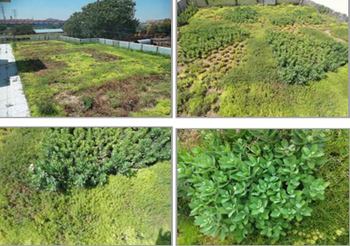 中国十七冶以绿色创新技术驱动住宅产业现代化，协同推进生态环境材料发展